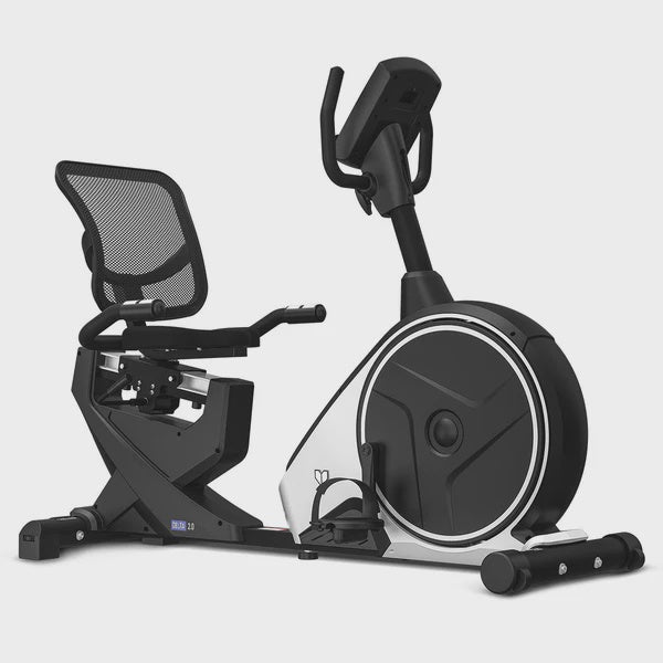 Lifespan Specialist Series Delta 2.0 Recumbent Bike