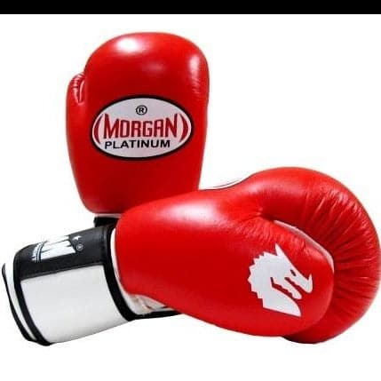 MORGAN PLATINUM LEATHER SPARRING GLOVES