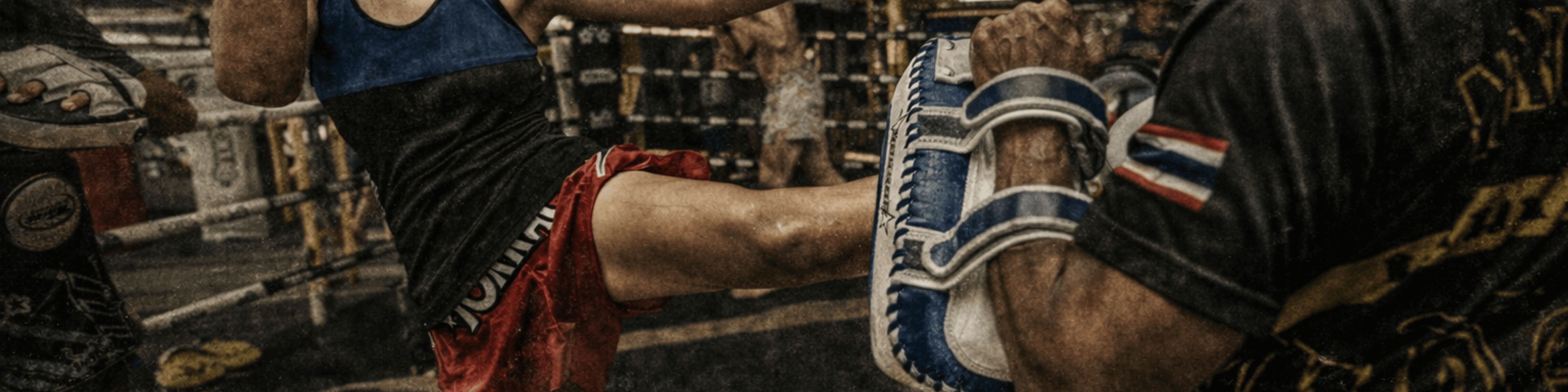 Pads Musclemania Fitness MegaStore