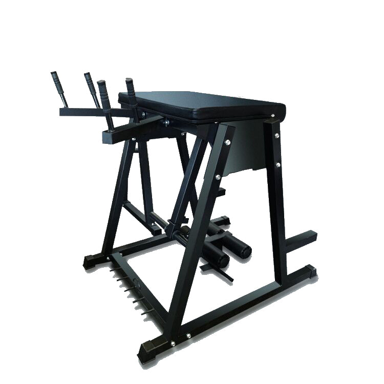 Commercial Reverse Hyper Extension Machine