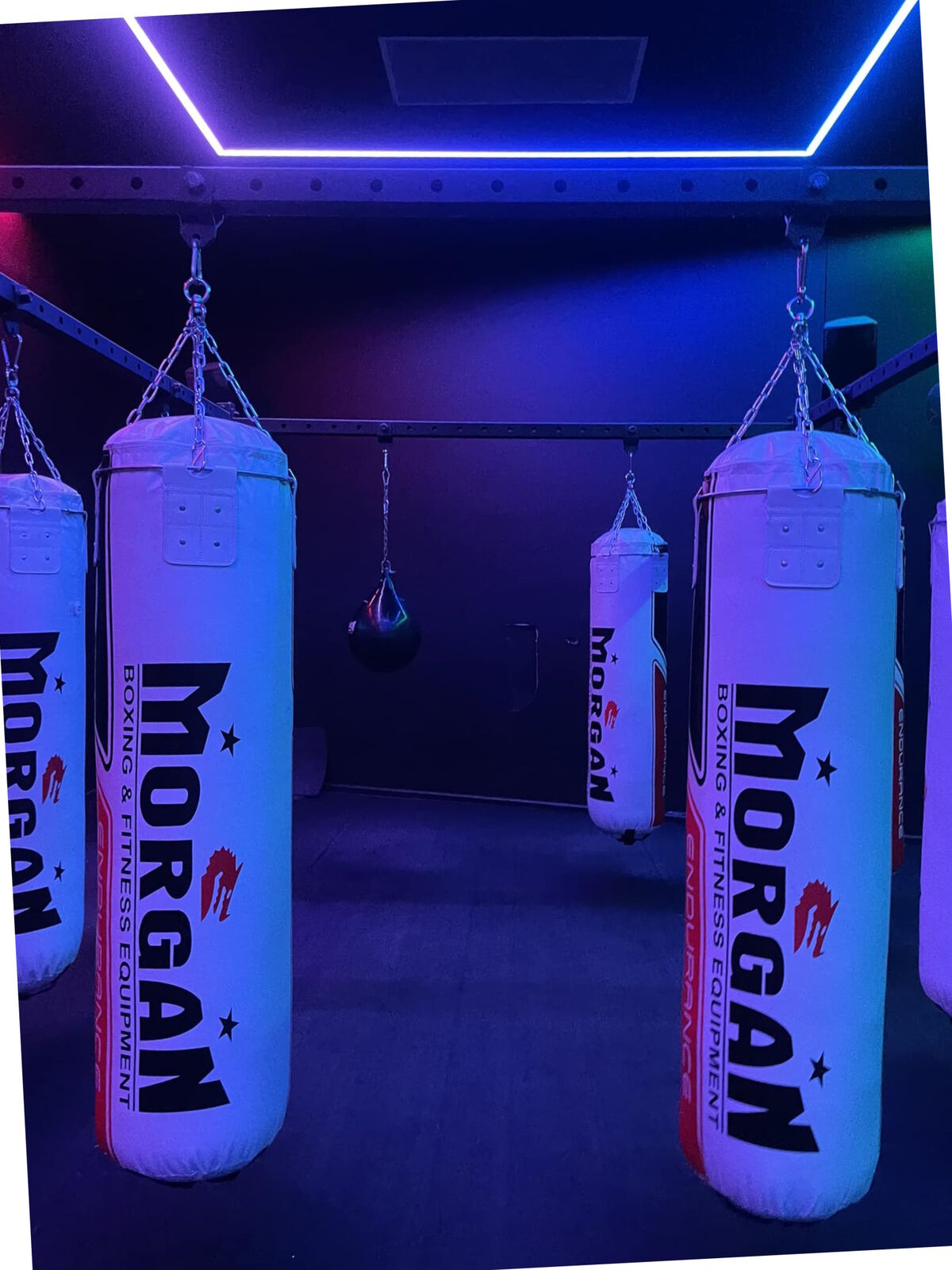 MORGAN 8 STATION PUNCH BAG RACK