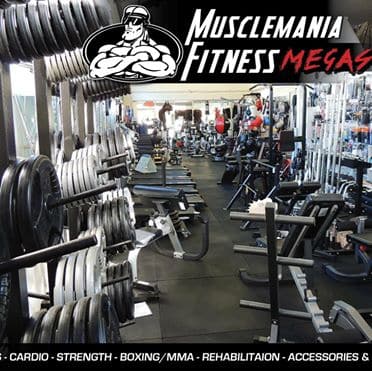 BODYWORX BLACK OLYMPIC BUMPER PLATES | Commercial-Grade 50mm Bumpers:  EOFY SALE