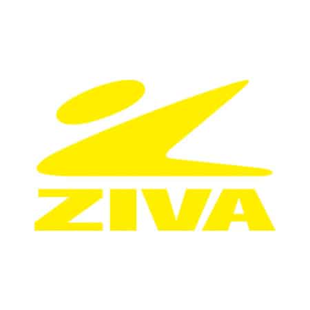 CLEARANCE:  ZIVA ZVO URETHANE BARBELL STRAIGHT