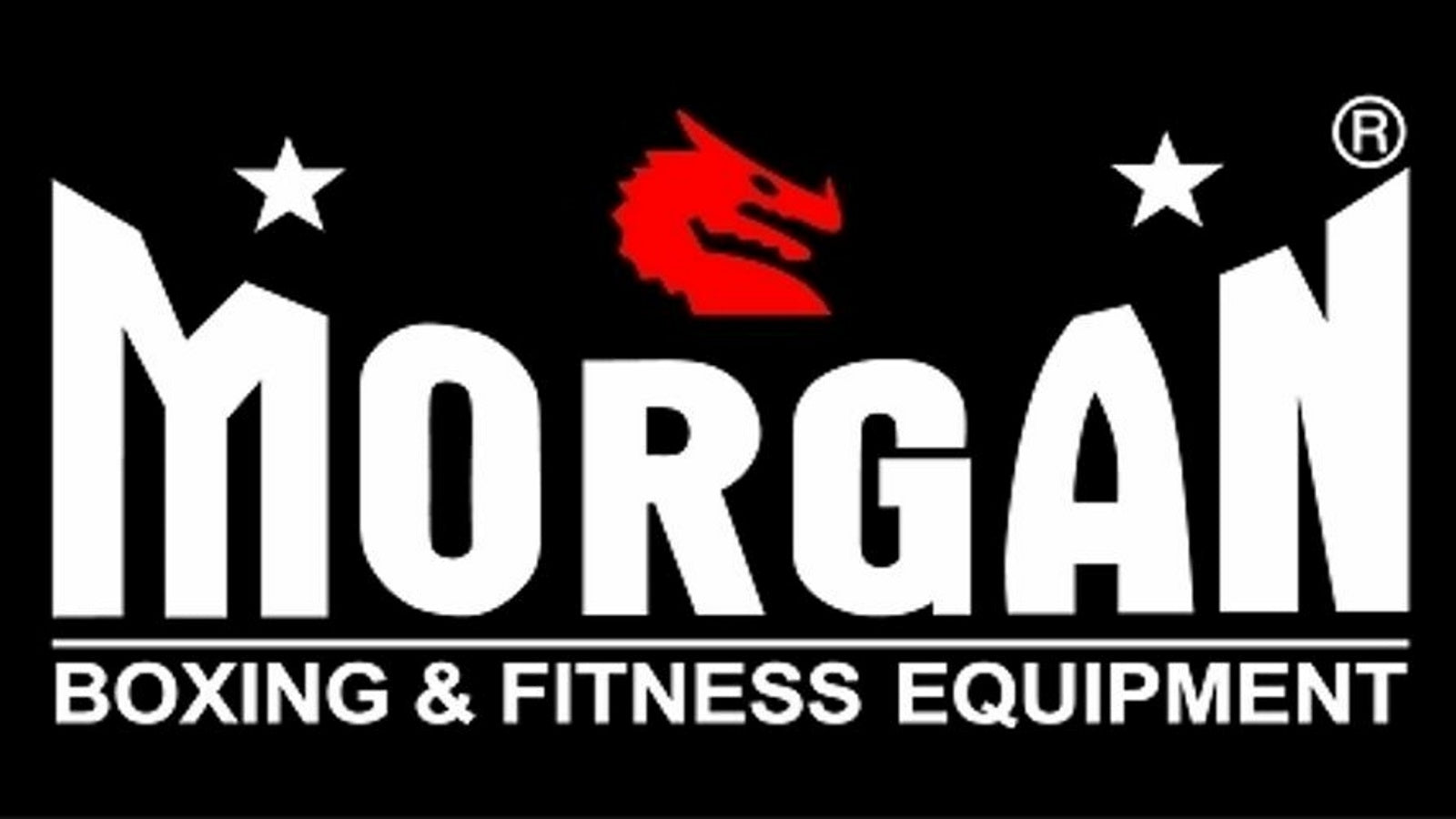 Morgan Platinum Swivel Speedball Hanger